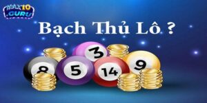bạch thủ lô