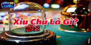 xỉu chủ là gì